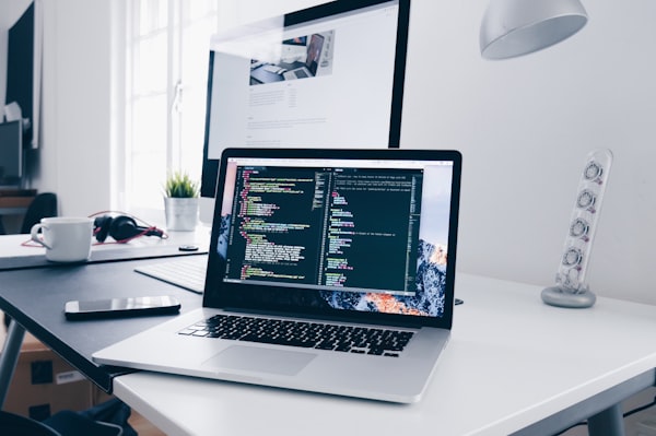 Benefits comparison of WordPress speed versus custom website flexibility