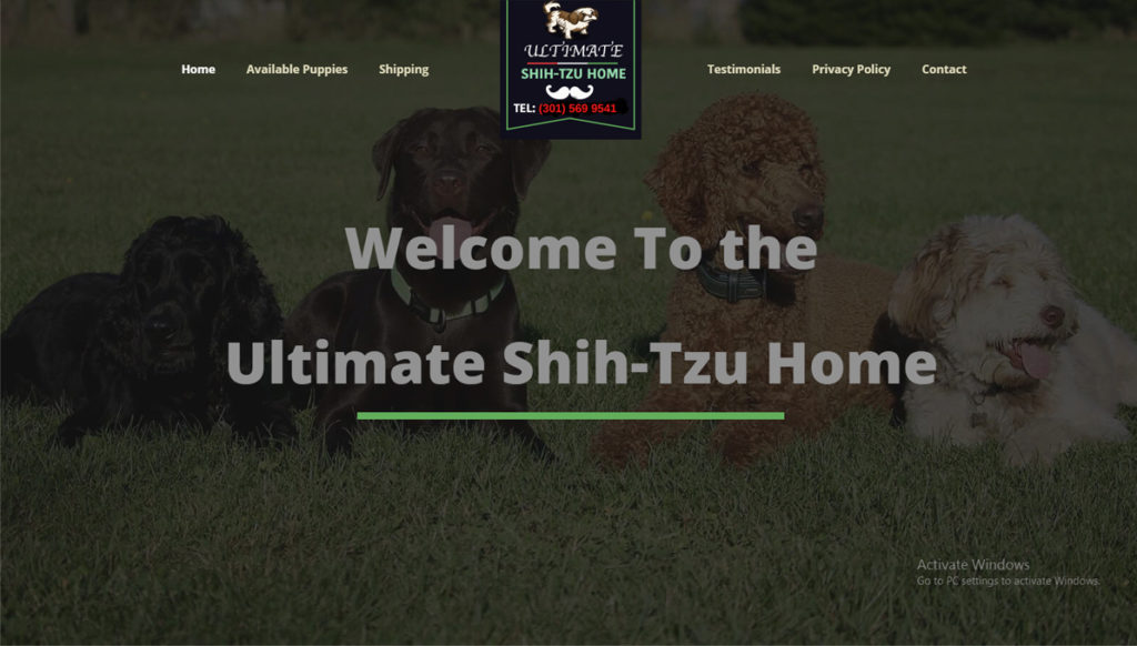 Ultimate Shihtzu Home